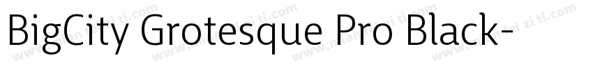 BigCity Grotesque Pro Black字体转换